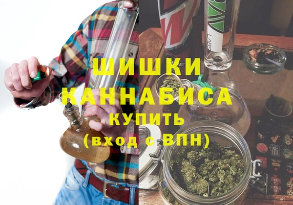 ГАЛЛЮЦИНОГЕННЫЕ ГРИБЫ Абаза