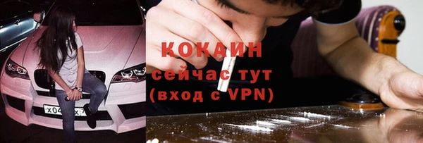 ГАЛЛЮЦИНОГЕННЫЕ ГРИБЫ Абаза